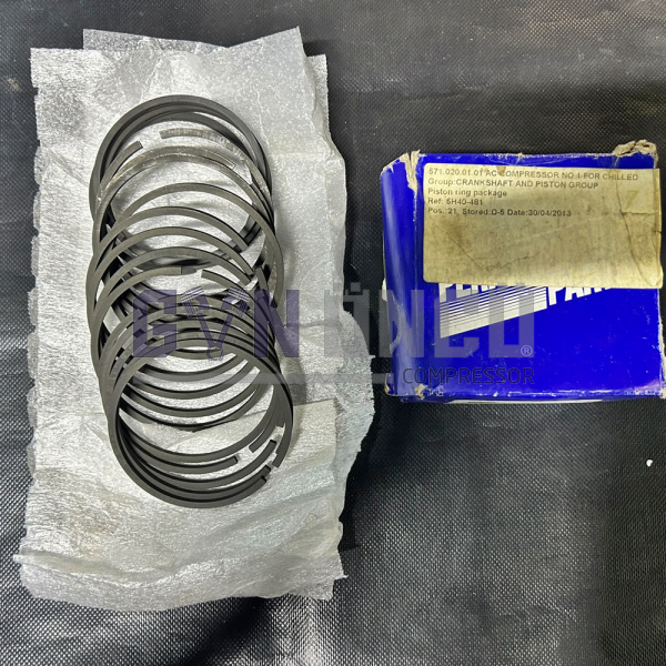 PISTON RING