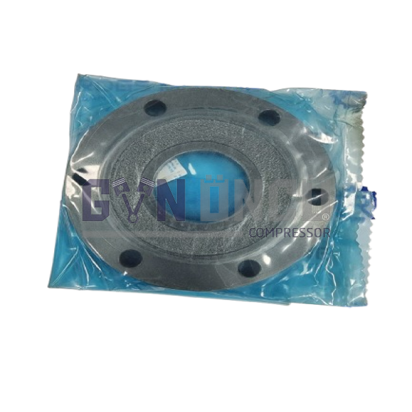  SHAFT SEAL KAPAĞI