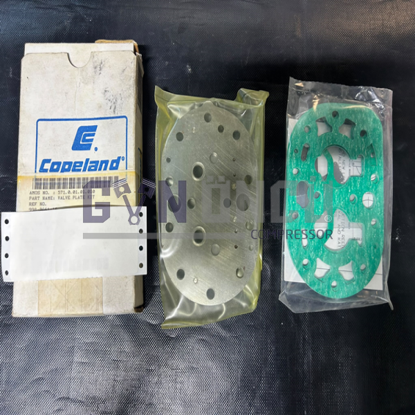 998-0661-16 VALVE PLATE KİT